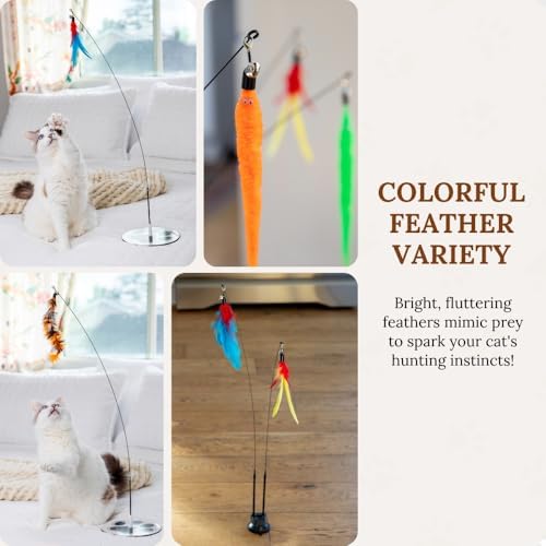 Cat Toys for Indoor Cats, Interactive Cat Toy Wand, Kitten Stuff, 9 Lures