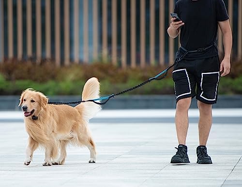 iYoShop Retractable Hands Free Dog Leash, Medium/Large, 25-150 lbs, Orange