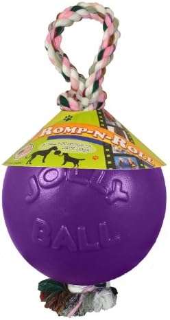 Jolly Pets Romp-N-Roll Rope & Ball Dog Toy, 4.5 in Small, Purple