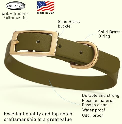 Viper Biothane Heavy Duty Waterproof Dog Collar Strong Coated Nylon Webbing w/Solid Brass Hardware Odor-Proof Easy to Clean High Performance Fits Small Medium or Large Dogs, Olive Drab Green