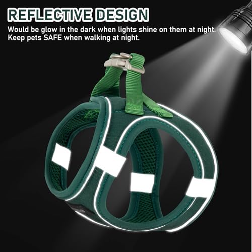 GAMUDA Small Pet Harness Collar and Leash Set, Step in No Chock No Pull Linen Fabric Soft Mesh Dog Vest Harnesses Reflective for Dogs Puppy Cats Kitten Rabbit (Green, L)