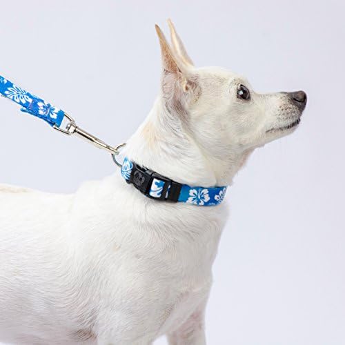Country Brook Petz - Blue Hawaiian Everyday Dog Leash - Summer Breeze Collection Featuring Sunny Designs (6 Foot, 1/2 Inch Wide)