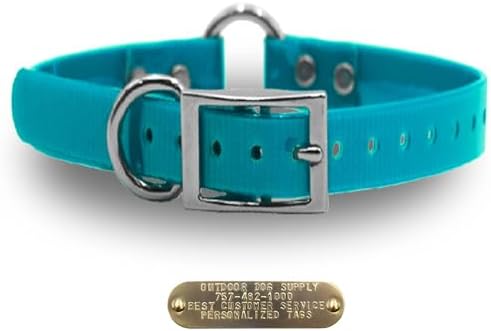 Heavy Duty Waterproof D & Center Ring Dog Collar w Custom Name Tag, Teal