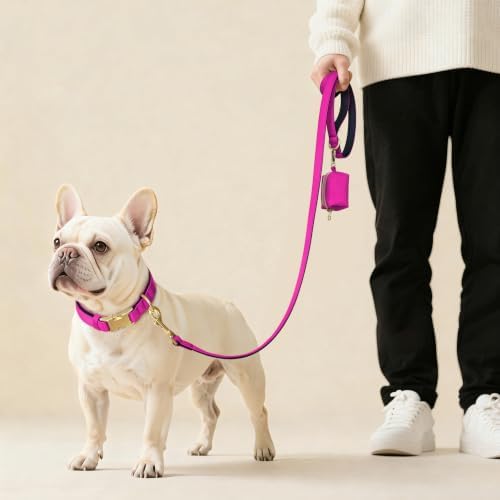 Didog Soft Padded Dog Collar for Medium Dogs, Rose Purple, M Neck 14-18"