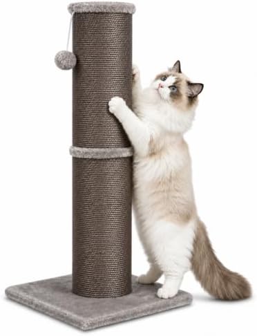 Cat Scratching Post with 5.5 Inch Diameter Sisal Post, 32 Inch, Grey