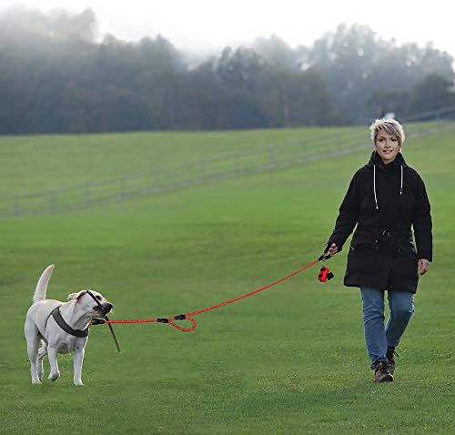 Plutus Pet Rope Dog Leash with Double Handles, 6 FT Long, Reflective