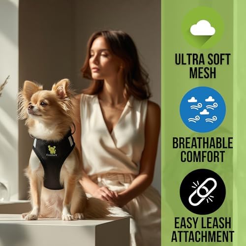 EcoBark Step in Dog Harness - Eco-Friendly Teacup Dog Harnesses for XXS, XS, and Small Dogs - Reflective and Adjustable Mini Body Halter Vest -Tiny Soft Mesh Toy Breed Harness Under 5 lbs (Black, XXS)