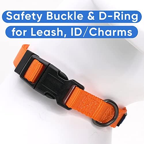 Pawtitas Solid Color Orange Puppy or Dog Collar, Small