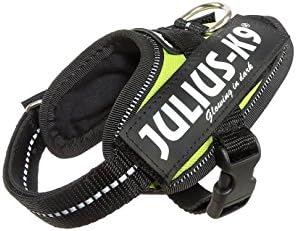 Julius-K9, 16IDC-FNE-B1, IDC Powerharness, Dog Harness, Size: Baby 1, UV Neon Green
