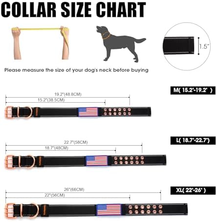 Heavy Duty Dog Collar for Medium Large Dogs,Black,Large