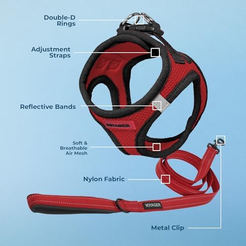 Best Pet Supplies Voyager Step-in Air All Weather Mesh Harness and Reflective Dog 5ft Leash Combo with Neoprene Handle, for Small, Medium and Large Breed Puppies - Red/Black Trim, Large