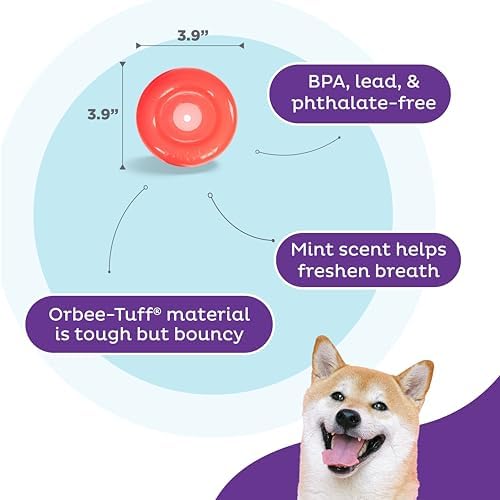 Outward Hound by Planet Dog Lil' Snoop Dog Toy – Treat‑Dispenser Puzzle Ball, Interactive Slow Feeder, Small to Medium Dogs, Bouncy & Mint-Infused, Red, 3.9"