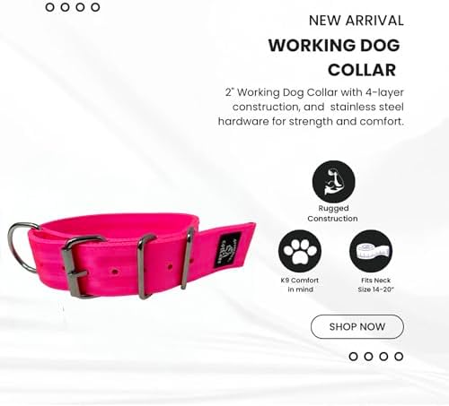 SparkDog 2” Working Dog Collar – Heavy Duty