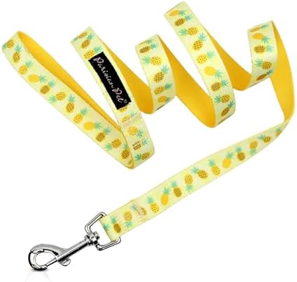 Parisian Pet Pineapple Dog Leash - Nylon Heavy Duty Training Yellow Leashes for Dogs with Comfortable Handle - Strong Metal Clip 4Ft Puppy Leash - Durable Chew Proof Leashes for Small and Medium Dogs
