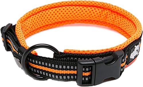 True Love Padded Reflective Breathable Nylon Dog Collar, Orange, 3XL