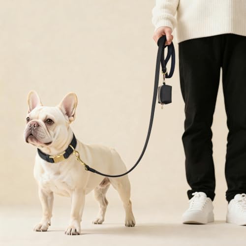 Didog Soft Padded Dog Collar for Medium Dogs, Black, M Neck 14-18"