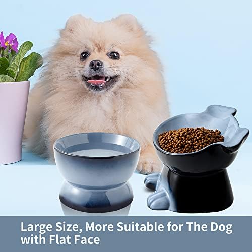 Nihow Dog Food & Water Bowls: Elevated Ceramic Bowls for Medium/Small Dog