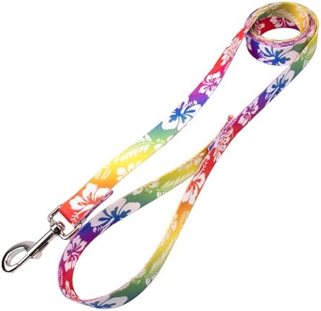 Country Brook Petz - Hawaiian Rainbow Everyday Dog Leash - Summer Breeze Collection Featuring Sunny Designs (5/8 Inch, 4 Foot)