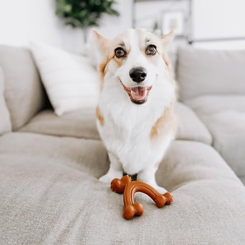 Nylabone Power Chew Easy-Hold Wishbone Dog Chew Toy, Small