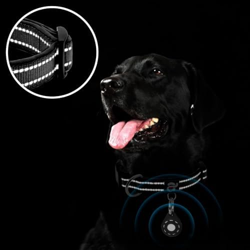 azuza Airtag Dog Collar, Small Dog Collar with Airtag Holder, Black, S