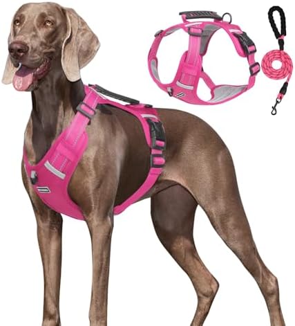 Dog Harness No Pull Adjustable Reflective,for Medium and Large Small Dog with Leash 59.06in (Fuscia, S)