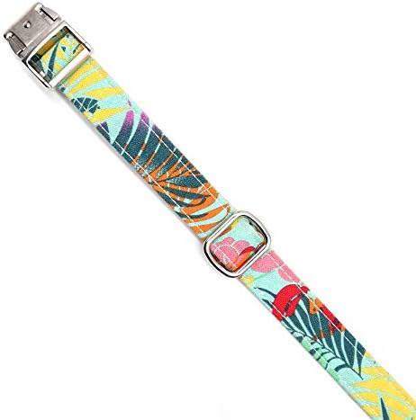 Customized Nylon Dog Collar, Personalized Dog Collar Engraved with Name and Phone Number,Adjustable ID Dog Collar with Quick-Release Buckle (S, Green)