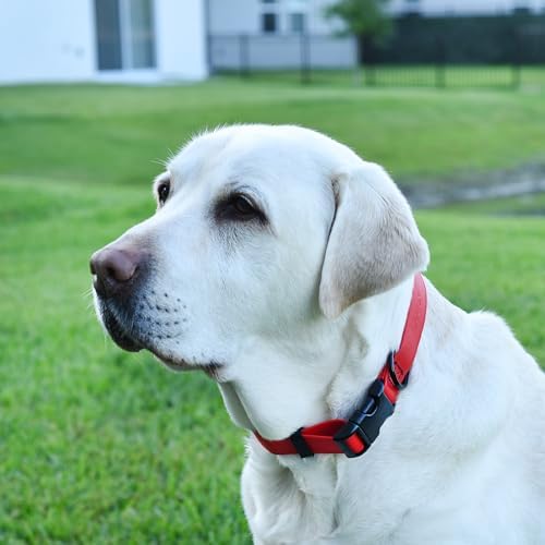 Dogline Biothane Waterproof Dog Collar with Quick Release Buckle Strong Coated Nylon Webbing with Odor- Proof for Easy Care Easy to Clean Fits Small Medium Large Dogs, Red 5/8" W 9-14" L