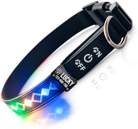 Personalized Flashing Dog Collar with Laser Engraved ID Tag