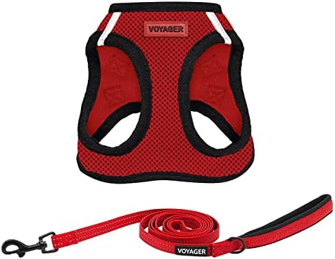 Best Pet Supplies Voyager Step-in Air All Weather Mesh Harness and Reflective Dog 5ft Leash Combo with Neoprene Handle, for Small, Medium and Large Breed Puppies - Red/Black Trim, Large