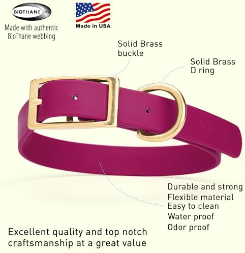 Viper Biothane Heavy Duty Waterproof Dog Collar Strong Coated Nylon Webbing w/Solid Brass Hardware Odor-Proof Easy to Clean High Performance Fits Small Medium or Large Dogs, Magenta Pink