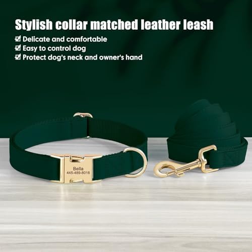 PET ARTIST Personalized Dog Collars, Custom Dog Collar with Engraved Silent Name Tag, Gold Quick Released Buckle & Soft Nylon Padded, Elegant Colors & Matching Leash for Small Dogs,Green,S Fit 9-14"