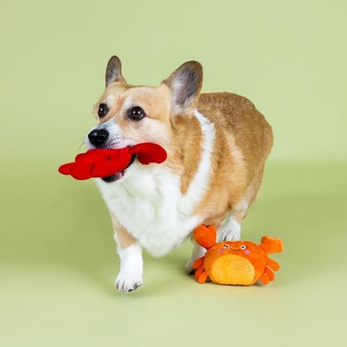 Fringe Studio Plush Dog Toy Set,You're Pretty Snappy Lobster & Crab 2 Piece Set,Pet Shop Collection (312061)