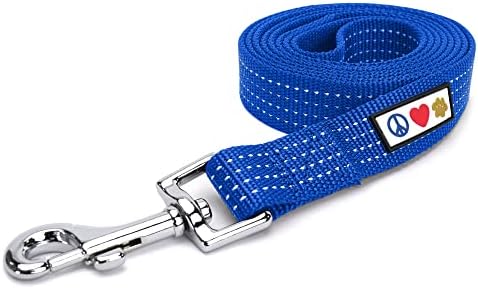 Pawtitas Blue Dog Leash 6 ft XS/S Reflective Durable Lightweight Dog Lead for Small Dogs and Puppies