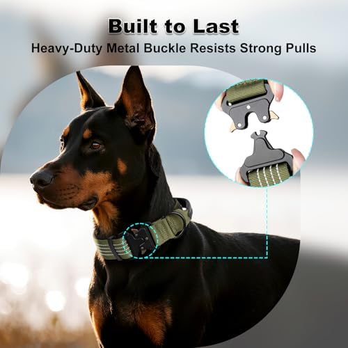 Plutus Pet Tactical Dog Collar with Pocket for AirTag, Ranger Green, L