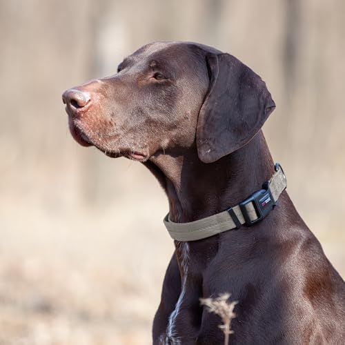 Dogline Grey Nylon Collar (W: 1" L: 16"-24")