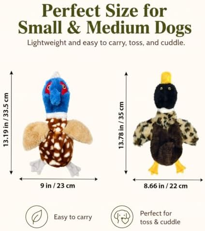 Duck Dog Toys, 2-Pack Stuffing-Free Squeaky Plush Bird Toys with 8 Total Squeakers, Hollow Body No-Stuffing Design for Small Medium Dogs