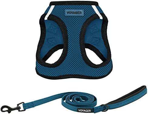 Best Pet Supplies Voyager Step-in Air All Weather Mesh Harness and Reflective Dog 5ft Leash Combo with Neoprene Handle, for Small, Medium and Large Breed Puppies - Blue/Black Trim, X-Small