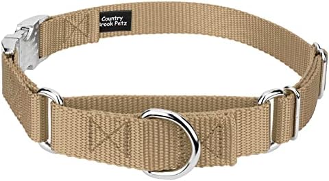 Country Brook Petz - Martingale Dog Collar - Heavy Duty Nylon Adjustable Martingale Dog Collar with Metal Buckle for Small Medium Large Breeds - 30+ Color Options (1 Inch, Large, Copper Gold)
