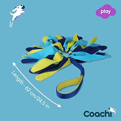 Coachi Tuggi Spider - Interactive Dog Toy for Tug of War & Play
