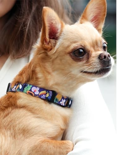 KIKI & RIKI Soft Nylon Dog Collar for Medium Dogs, Adjustable, Quick-Release Buckle, Size M (Neck 13.0-20.9"), Purple Artist-Designed Print
