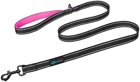 PHOEPET 5 Feet Heavy Duty Dog Leash - Reflective - Soft Padded Handle