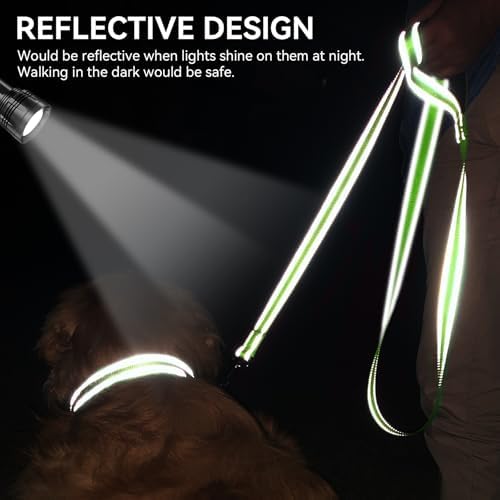 Joytale Reflective Dog Leash for Small Dogs, 4 FT x 3/4", Green