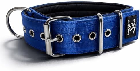 SparkDog 2" Padded Working Dog Collar (Blue, 2" Padded (16-21" Neck)