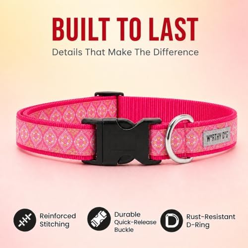 THE WORTHY DOG Summer Print, Adjustable Dog Collar,Medium Dogs, Medallion