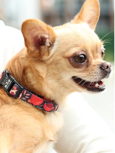 KIKI & RIKI Soft Nylon Dog Collar for Medium Dogs, Adjustable, Quick-Release Buckle, Size M (Neck 13.0-20.9"), Black & Red Artist-Designed Print