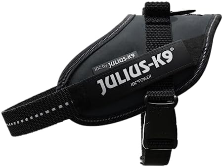 Julius-K9, 16IDC-ANT-M, IDC Powerharness, Dog Harness, Size: Mini, Anthracite