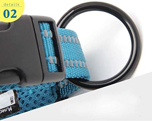 True Love Padded Reflective Breathable Nylon Dog Collar, Blue, L
