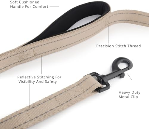 Plutus Pet Double Handle Dog Leash, 5 FT Long, for Medium Large Dogs