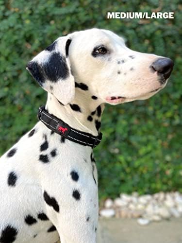 Tuff Pupper Heavy Duty Dog Collar with Handle | Ballistic Nylon Heavy Duty Collar | Padded Reflective Dog Collar with Adjustable Stainless Steel Hardware | Convenient Sizing for All Breeds