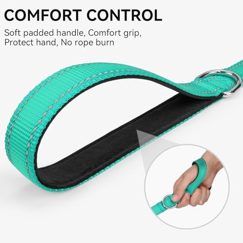 Joytale Reflective Dog Leash for Small Dogs, 4 FT x 3/4", Turquoise